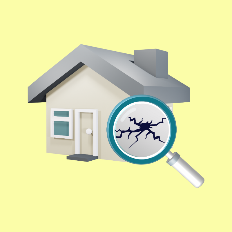graphic-of-house-with-crack-and-magnifying-glass