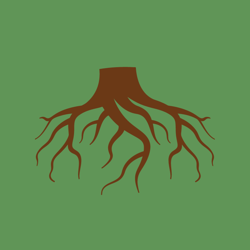 Tree-Root-Intrusion